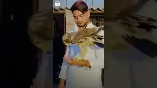 #Haji #salman #official baaj #short video