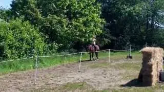 Mounted Archery