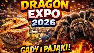 👉 Dragon Expo 2026 🐉 | Tłumy, zwierzęta i moje szczere wrażenia (VLOG)