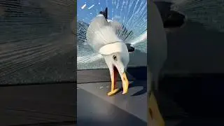 🤣 Epic Funny Fails Compilation 2025 | Worldwide Trending 😂 @failsking41