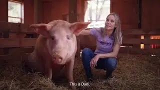 Rosie's Farm Sanctuary: Building a More Compassionate World