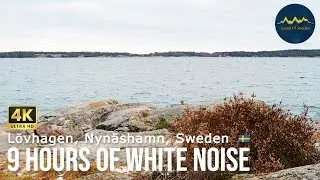 Study Sound - 9hrs White Noise from Sound Of Sweden - Location: L&ouml;vhagen Nyn&auml;shamn
