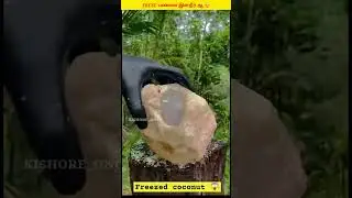 இளநீர்💥Freeze பண்ண😯என்ன ஆகும்|Kishoreonce|#facts #viralshort #india #coconut #kishoreonce
