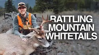 My 2025 Montana Whitetail