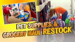 $1,900 Shopping Haul! - Pet Supplies + Groceries + Restock