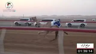 الشوط 3 (العفريت) لـ سعيد علي مفتاح الشامسي 2:9 ، شارة الشيخ محمد بن زايد آل نهيان 2021/7/2سيح صبره