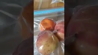 SEALZ VACUUM SEALER DEMO - LARGE