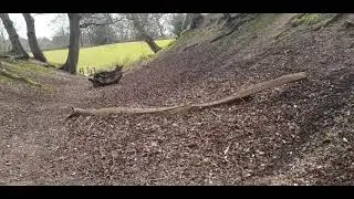 Buckland Ring walk