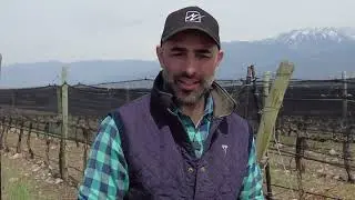 Germ&aacute;n Di Cesare y la actualidad de Bodega Trivento
