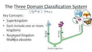 Three Domain Classification System