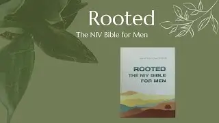 Rooted: The NIV Bible for Men