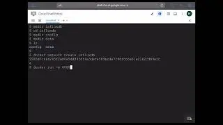 Docker tutorial for beginners: Install InfluxDB