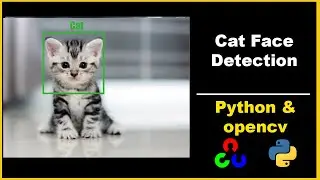 Cat Face Detection | Python & opencv