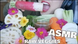 ASMR Giant VEGGIES (CRUNCHY EATING SOUNDS) NO TALKING | SAS-ASMR
