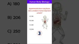 Тесты по общим знаниям с множественным выбором 🧠