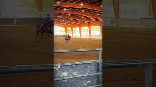 make the best out of what you&rsquo;ve got #horse #nbha #barrelhorse #barrelracing #bresablair #edit