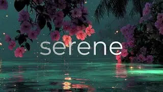 A Soft Nocturnal Melody