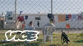 Punta de Rieles | Miscelánea