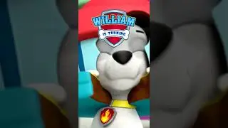 Paw Patrol Video invitation