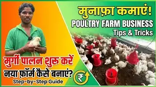 मुर्गी पालन से लाखों की कमाई | Poultry Farming Success Story in India | Broiler farm