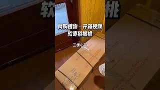 网购软枣猕猴桃 | 开箱视频 (2025-12-01)  #garden #minikiwi #kiwibeere #kiwiberry #unboxing #auspacken