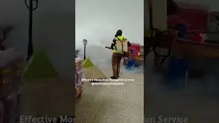 #mosquitoes #pestcontrol #fumigationservicesinkenya #cockroachcontrolservice #bedbugscontrol #flies