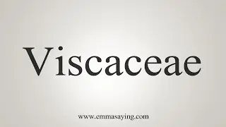 How To Say Viscaceae