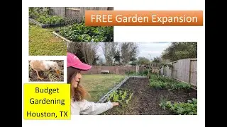 Expanding My Garden Bed for FREE | No Soil Bought, Just Smart Garden Design