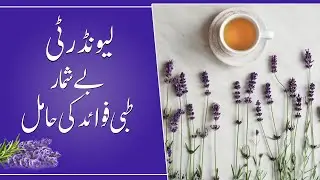 Treats Anxiety, insomnia and Depression| Lavender Tea| by CHILTAN PURE