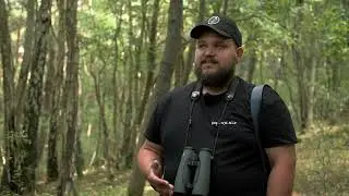 Sekrety ptaków Mierzei Wiślanej: birdwatchingowy raj na Górze Pirata