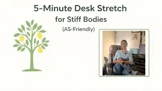 5-Minute Seated Desk Stretch Routine