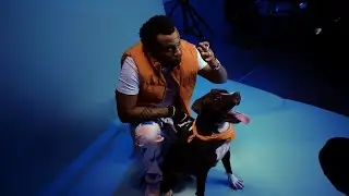 Vulgo PP - Quem N&atilde;o Quer ?