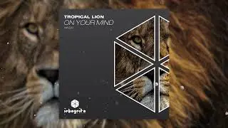 Tropical Lion - On Your Mind [Inkognito Records]