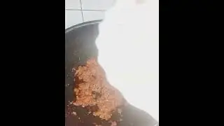 Tarka dal Mash