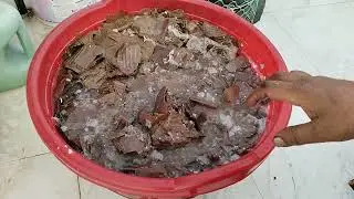 Apni Bagiya mein gatton ka aise istemal karein 