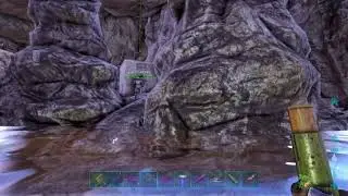 Black Signus Cave Raiding