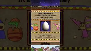 The Pet Training (Casino) Experience - Wizard101