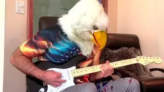 War Eagle ​⁠Jamming to Rock Pop backing track in A Major /  F# Minor