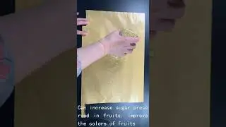 Grape fruit bags for fruit trees in Peru Chile