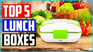 Top 5 Best Heated Lunch Boxes In 2022 Reviews