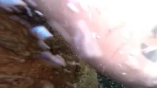 Cliff Jumping in Washington