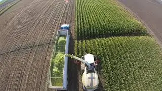 Silage 2020