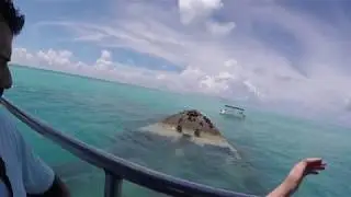 Bermuda | Glass Bottom Boat Trailer