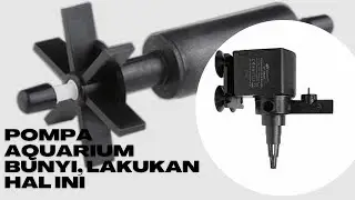 Pompa Aquarium Bunyi Berisik, lakukan Hal ini