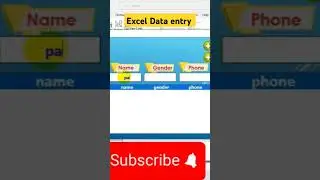 excel data entry