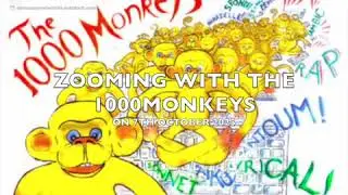 ZOOMING WITH THE 1000 MONKEYS in October 2025