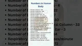 Numbers in Human Body! 🩺📚#anatomy #medicalstudent #nursingstudents