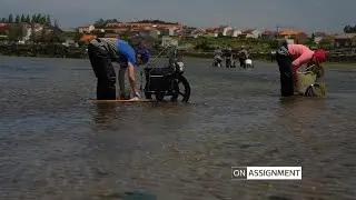 Can these women save their shellfish craft? On Assignment | ITV News