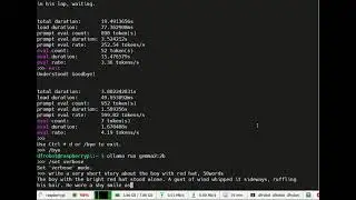 token speed of gemma2-2b-q4 running on Raspberry Pi 5
