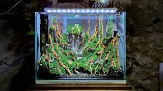Make a jungle aquascape with a sand waterfall using artificial moss